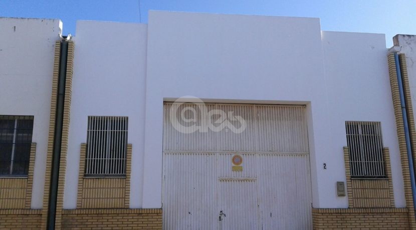 IMG-20160606-WA0001 (Large)