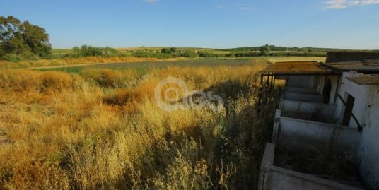 FINCA RÚSTICA EN GIBRALEÓN (HUELVA)