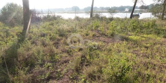 Suerte de terreno en término municipal de Villablanca!!!!