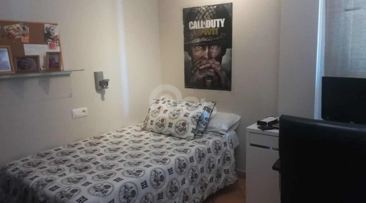 43 (Large)