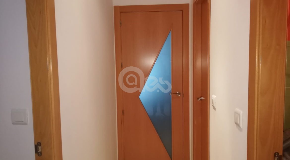 17 (Large)