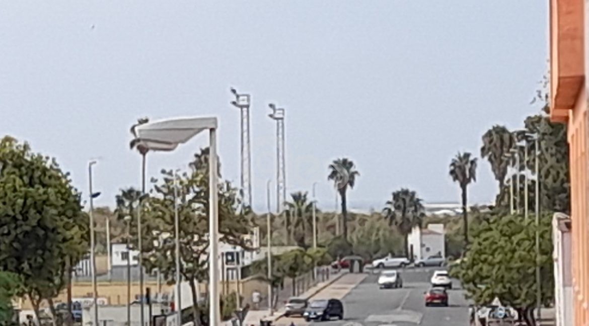 20220823_113111 (Large)