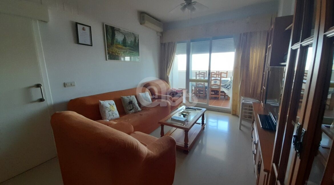 20240528_114214 (Large)