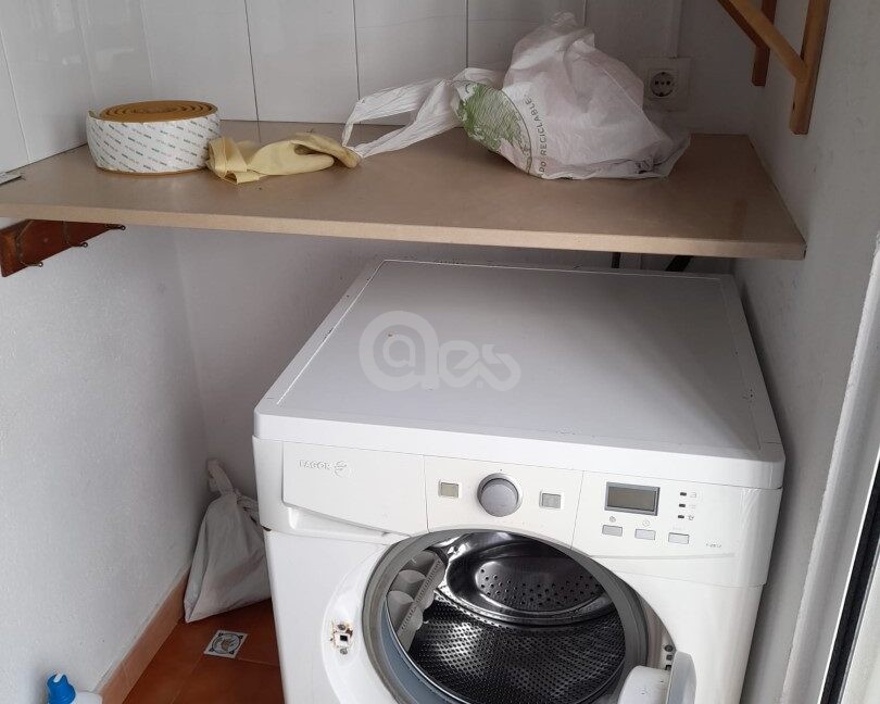 43a43e97-dbb9-4e55-ba79-00dfcb2c1841 (Large)