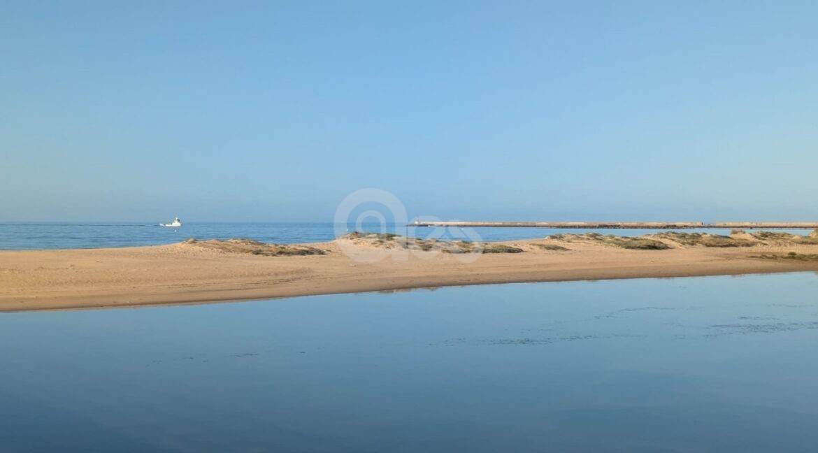 a214e6a5-6649-4de9-b5cb-4041e921d108 (Large)