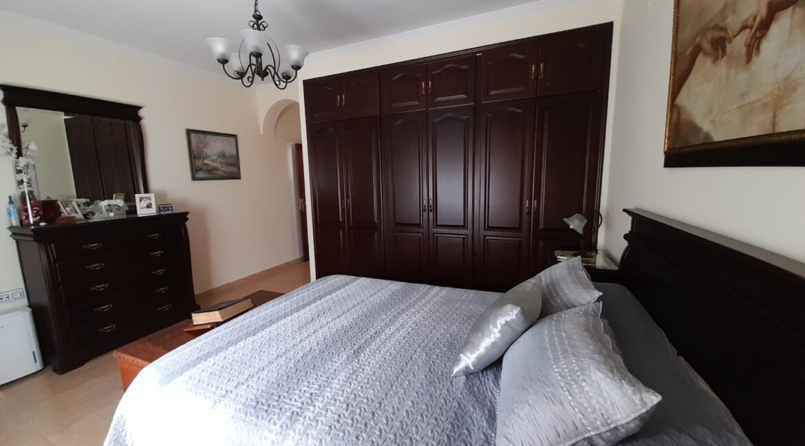 19ad41e0-05cf-444c-aca6-4945572d23c7 (Large)