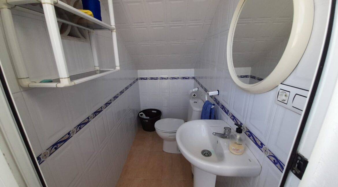 601e561b-0c68-4064-afb1-cdf9476a44eb (Large)