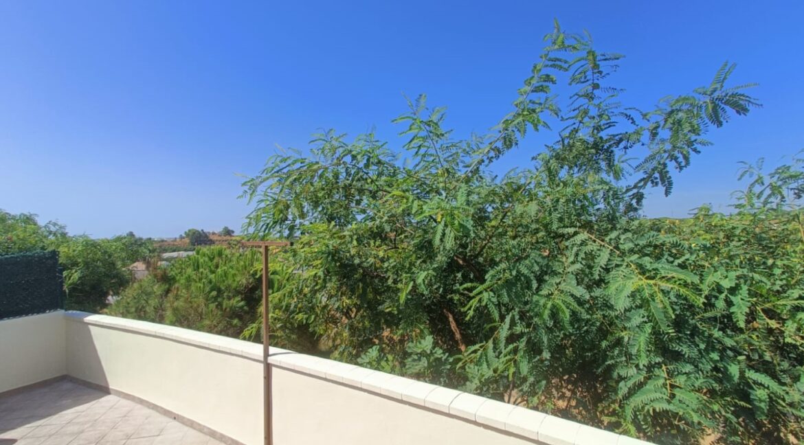 IMG-20250908-WA0046 (Large)