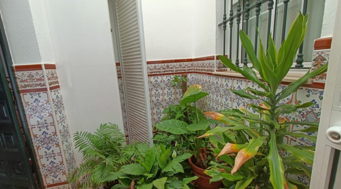 IMG-20250909-WA0010 (Large)