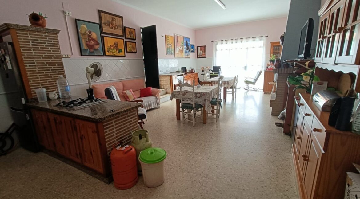 IMG-20250909-WA0016 (Large)