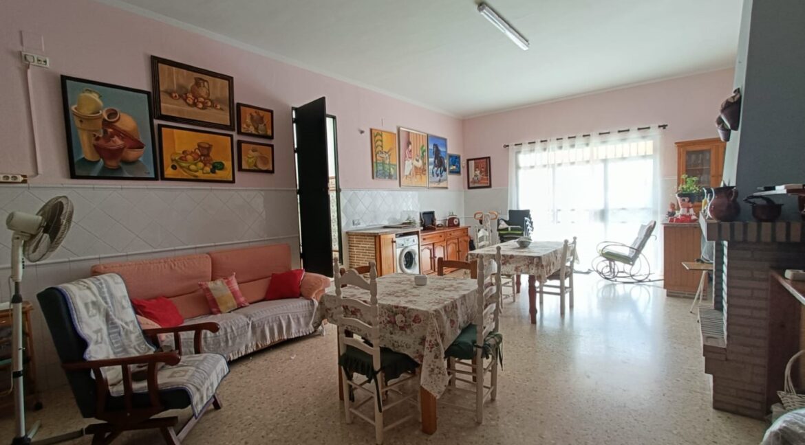 IMG-20250909-WA0021 (Large)