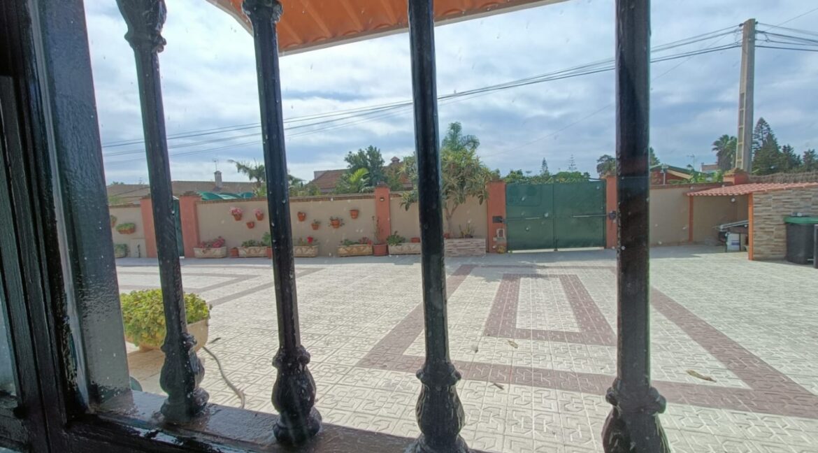 IMG-20250909-WA0025 (Large)