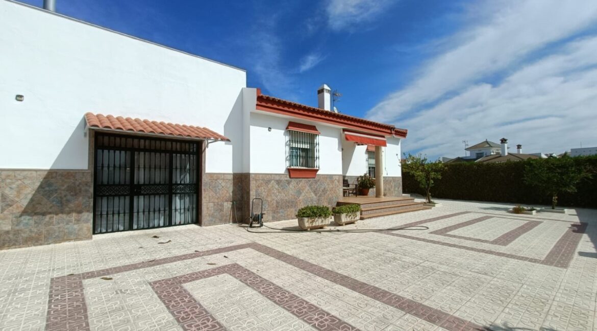 IMG-20250909-WA0037 (Large)