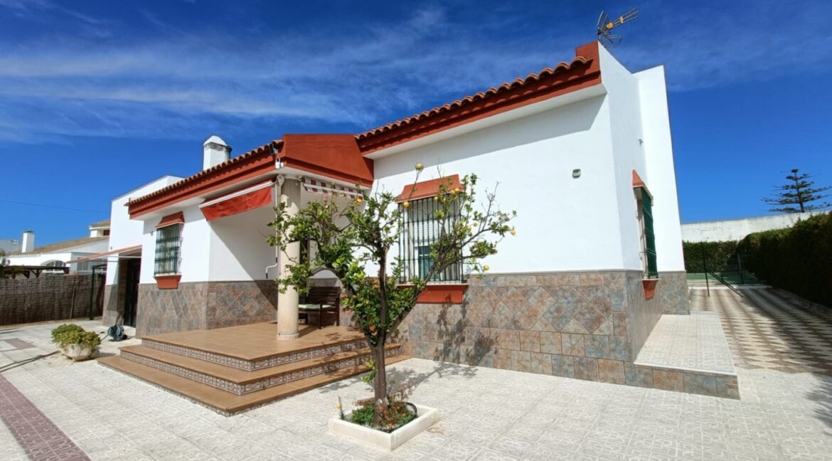 IMG-20250909-WA0041 (Large)