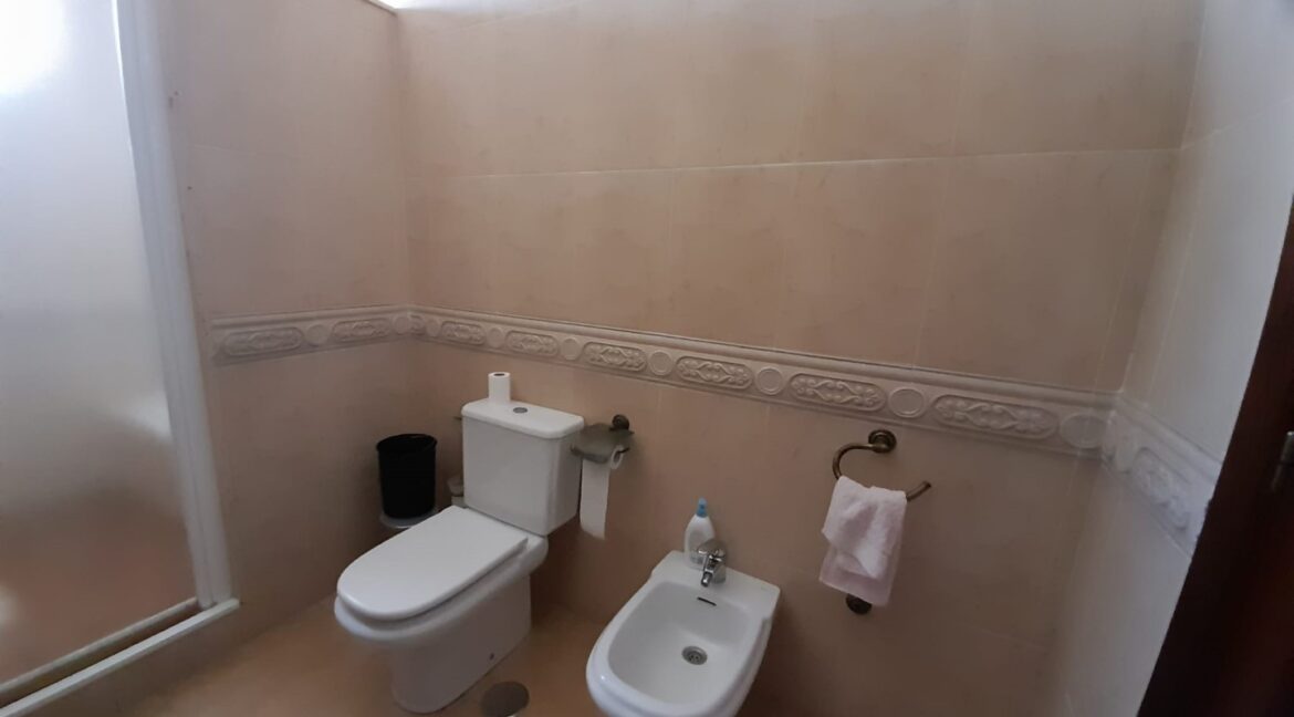 e83b8021-a701-4b31-9b76-06ecf3e3de2f (Large)