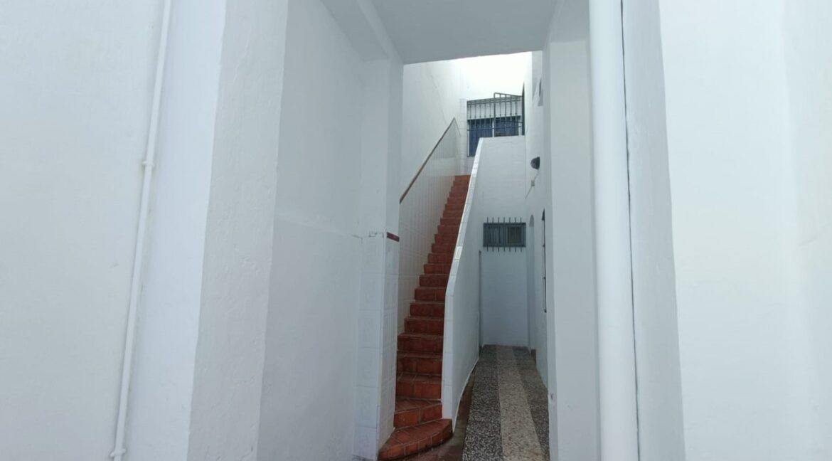 1000142483 (Large)