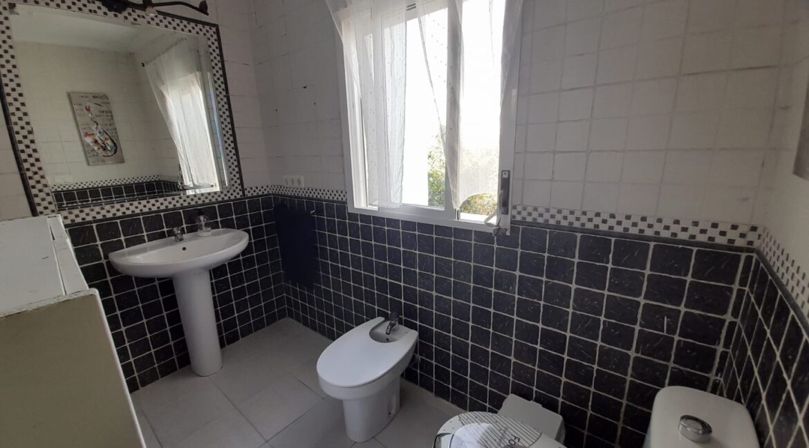 54f07643-a0db-47d8-9548-9265542aadb6 (Large)