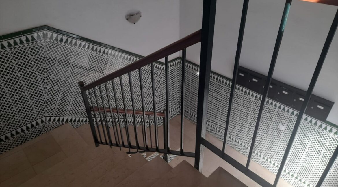 989fb7e5-046e-429d-9690-a1cc1258c1ba (Large)