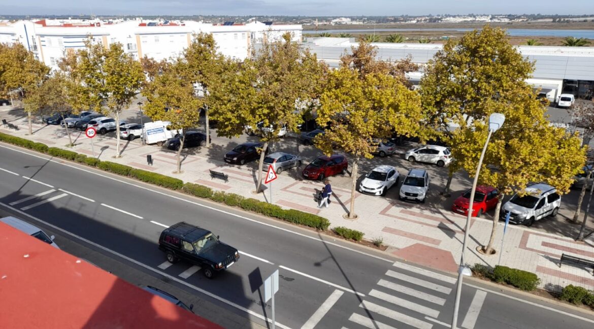 9dc77a24-3190-4202-ad77-f88111d33849 (Large)