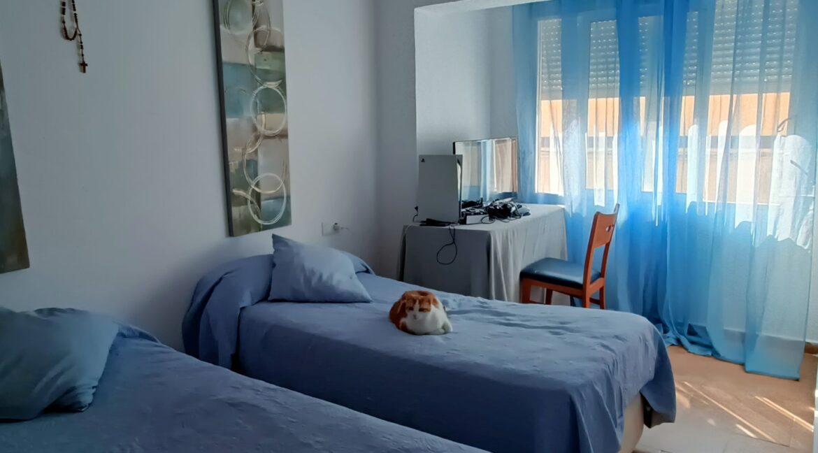 IMG20251027121033 (Large)