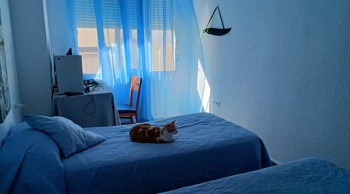 IMG20251027121040 (Large)