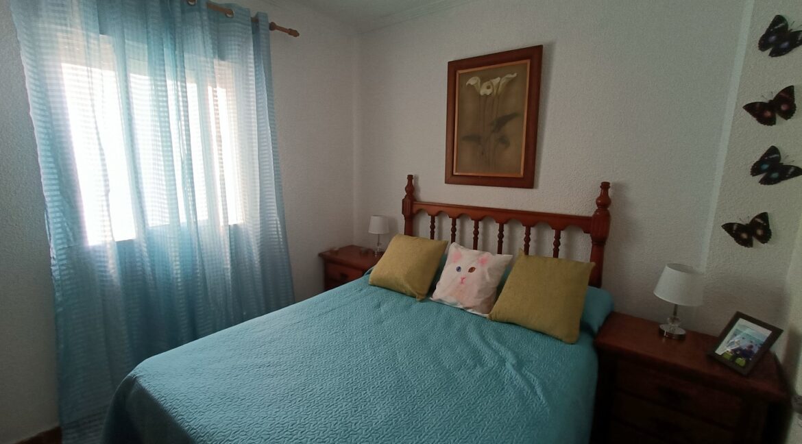 IMG20251027121115 (Large)