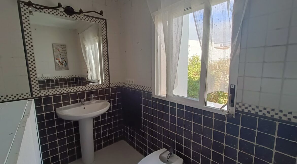 IMG20251027121129 (Large)