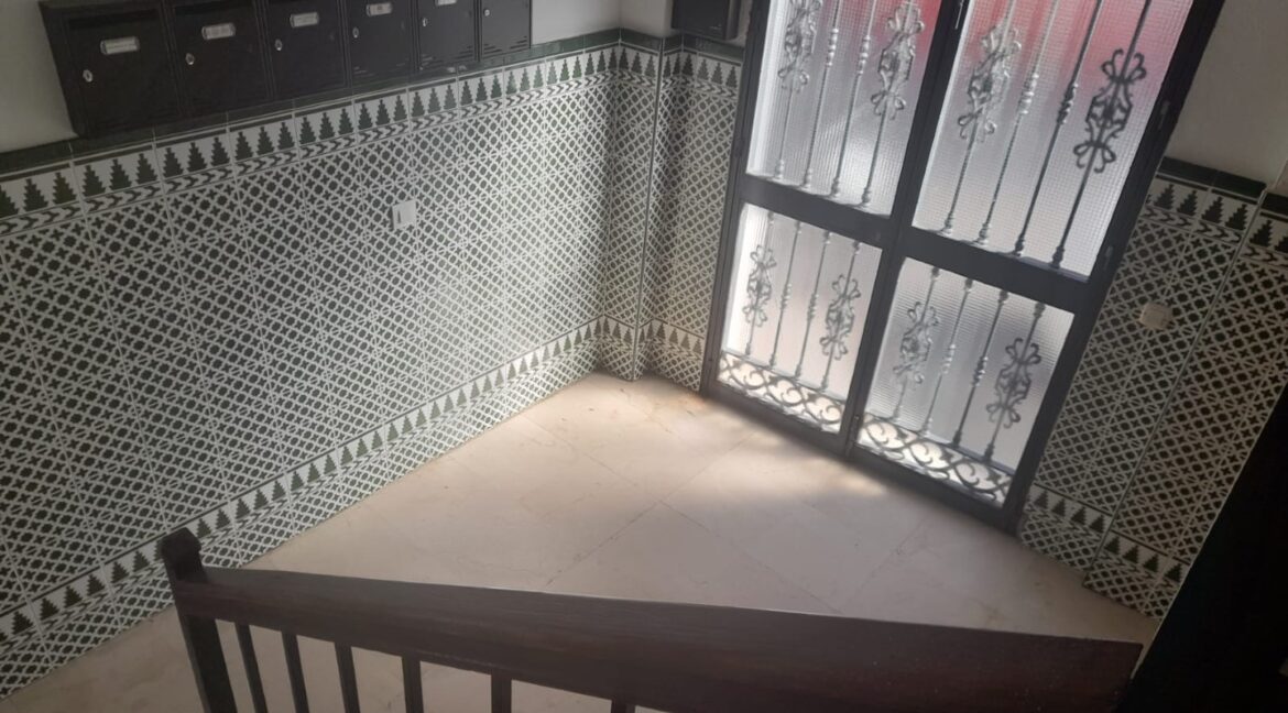 aaf7924d-2858-4d9c-8ddc-e2d5fbd0200f (Large)