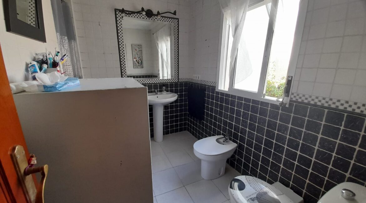 ad489685-91d2-4177-9604-540635a068d5 (Large)