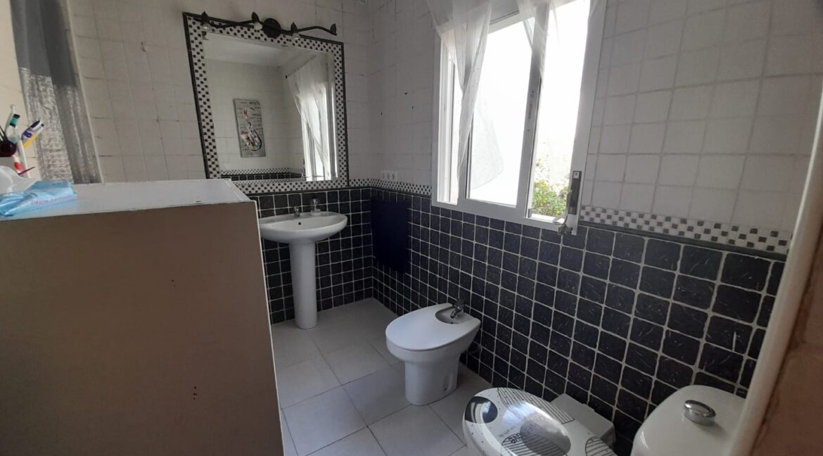 bc8d86b4-3884-433c-8668-2d7625ee12ae (Large)