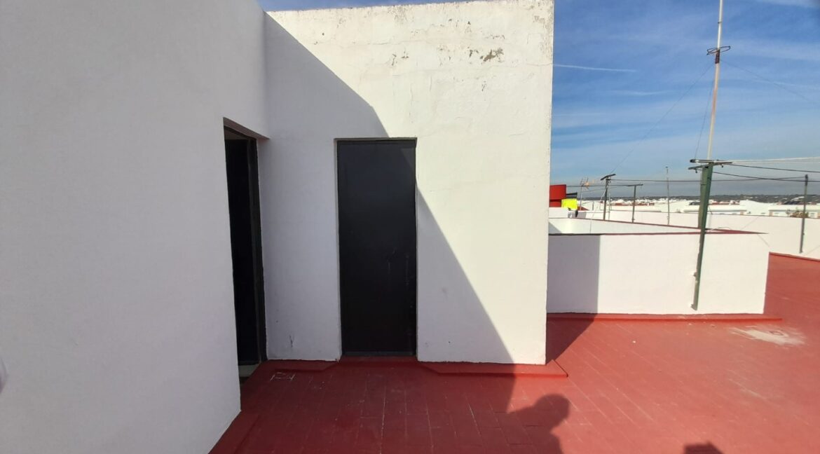 c49edd2f-3081-482a-bd32-ea201f221567 (Large)