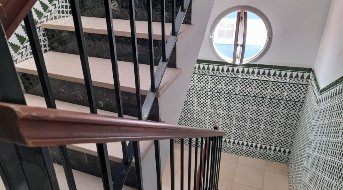 d913cada-decd-4894-a075-0e386f4517b6 (Large)