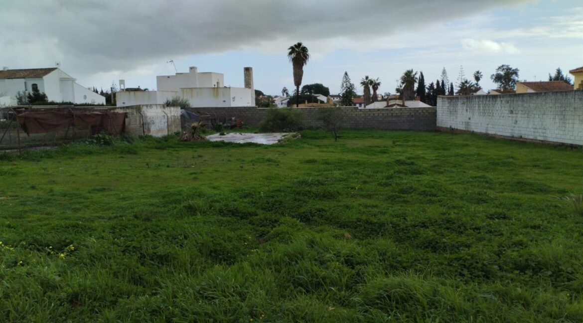 IMG-20260127-WA0016 (Large)