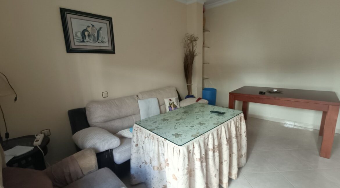 IMG20260202121135 (Large)