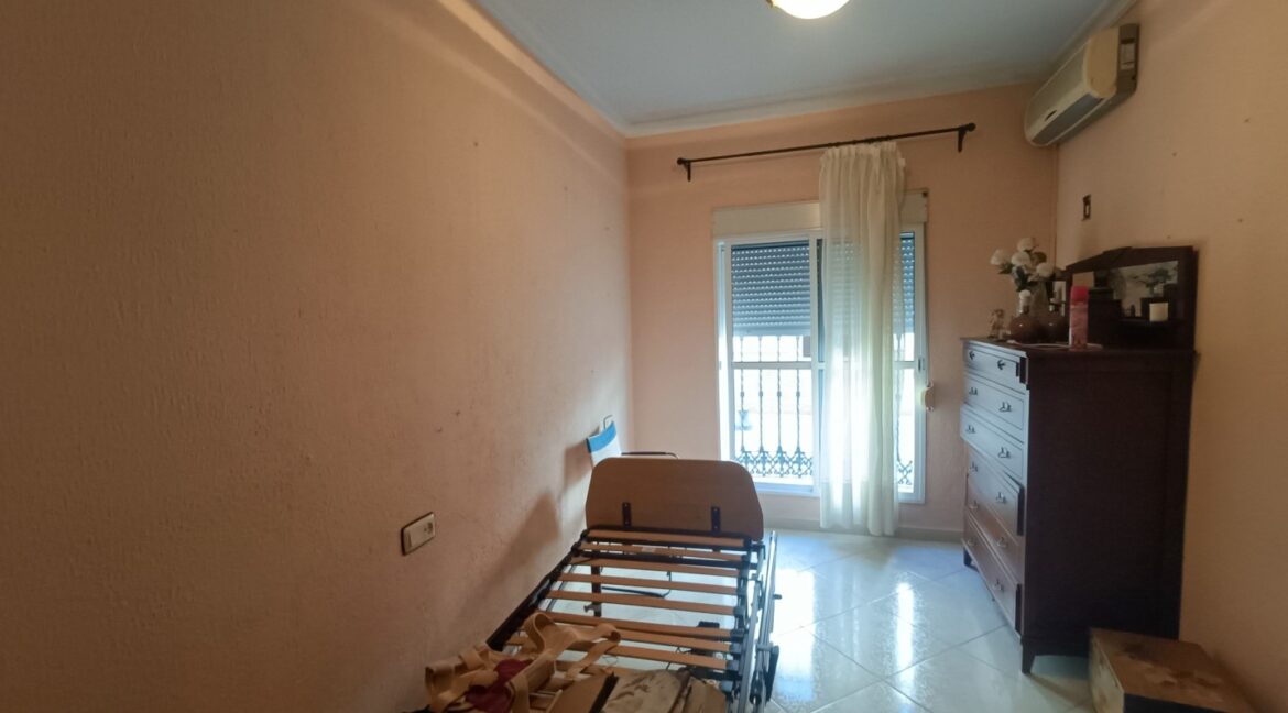 IMG20260202121243 (Large)