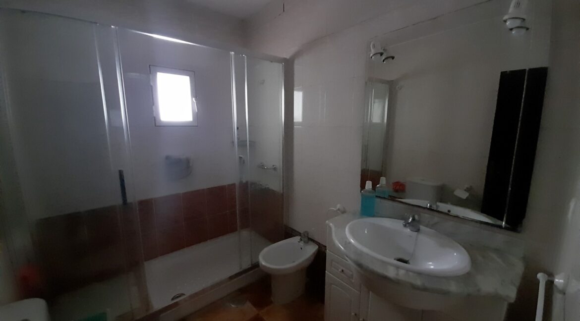 20260306_114917 (Large)