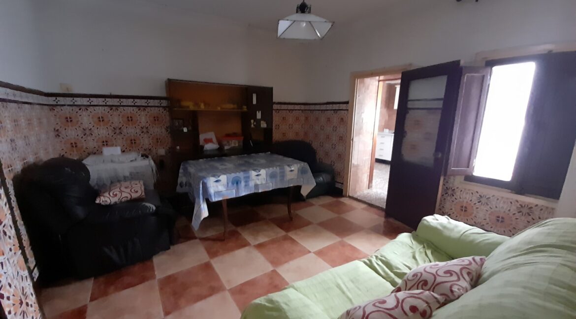 20260306_114931 (Large)