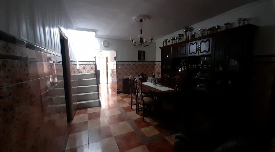 20260306_115014 (Large)