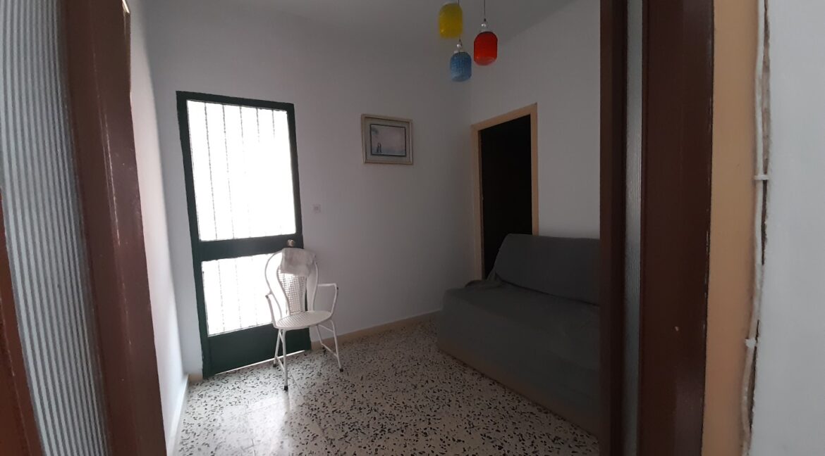 20260306_115132 (Large)