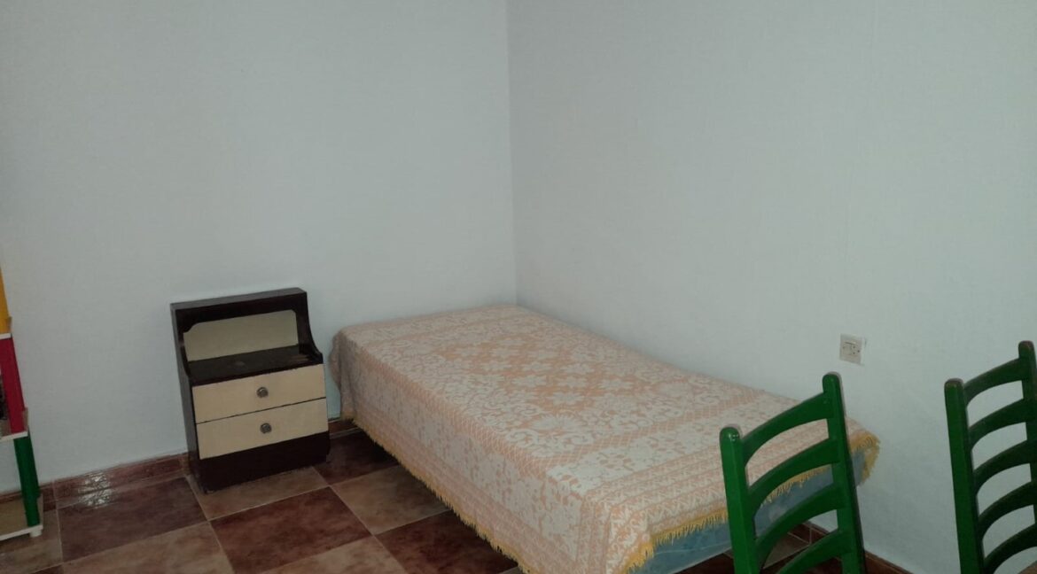 509c255b-bfc6-4413-84b4-212c0061ef87 (Large)