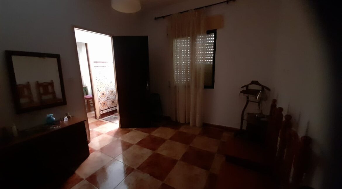 70f52957-8520-45b4-93a6-8f0bcc6e8c15 (Large)