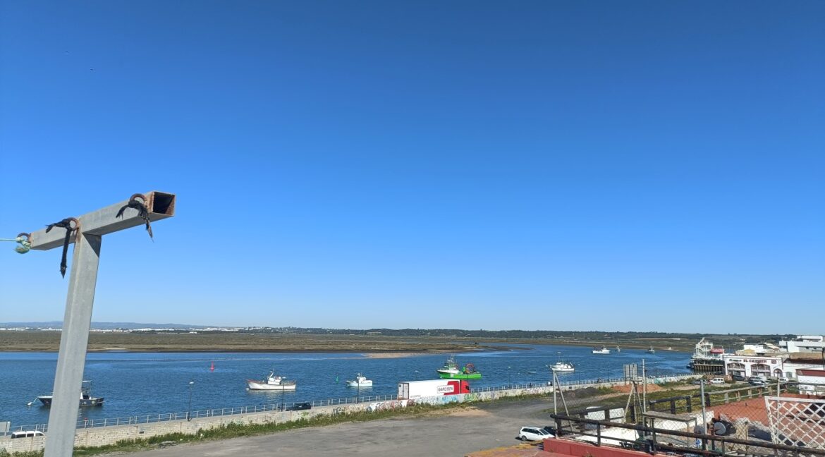 IMG20260331112256 (Large)