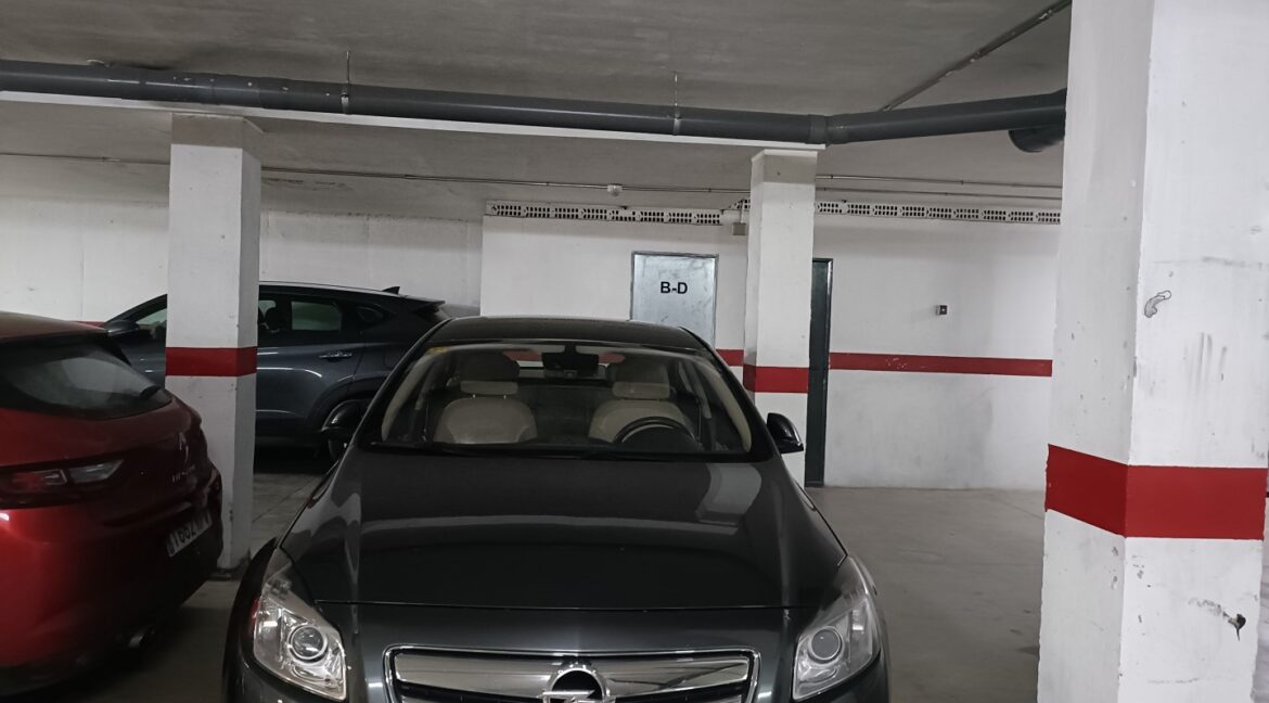 IMG20260331112857 (Large)