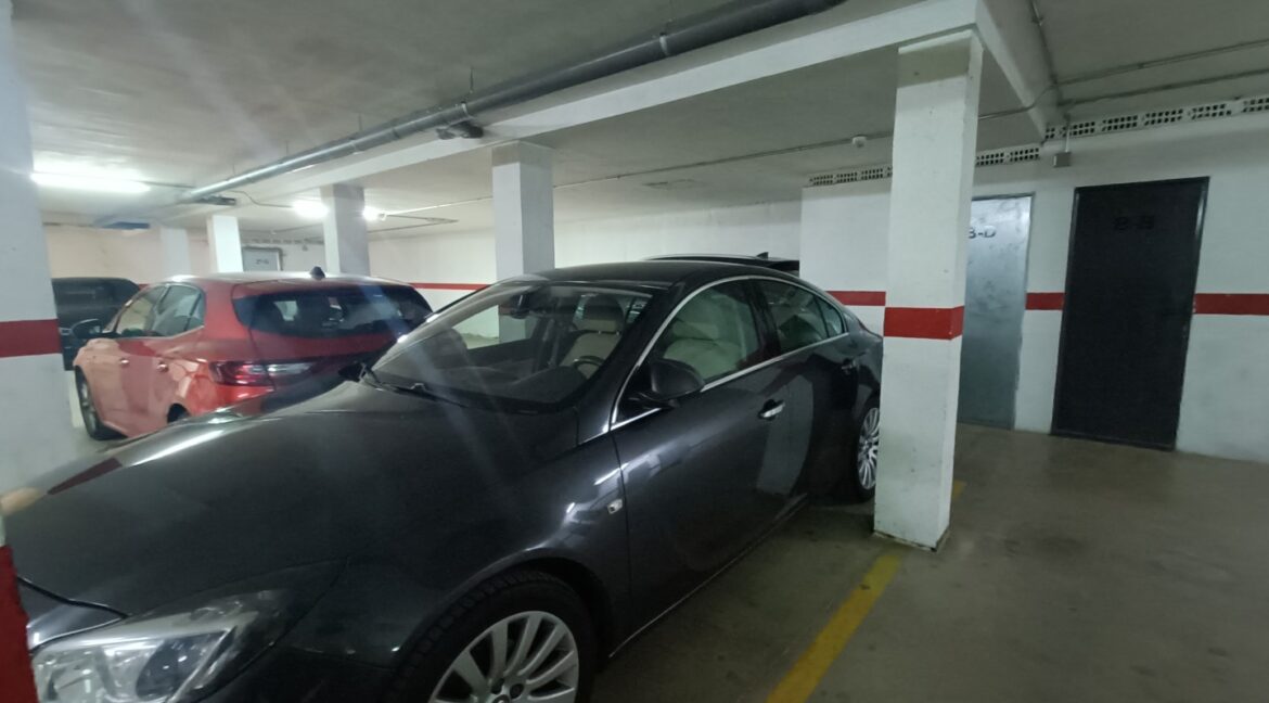 IMG20260331112910 (Large)