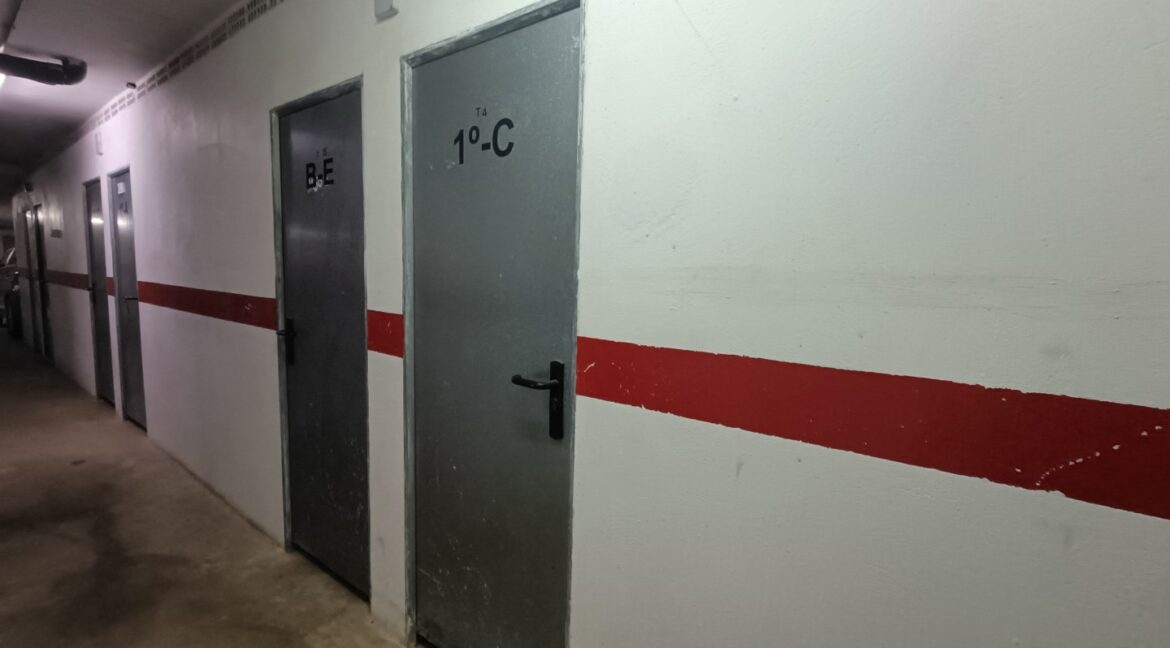 IMG20260331113040 (Large)