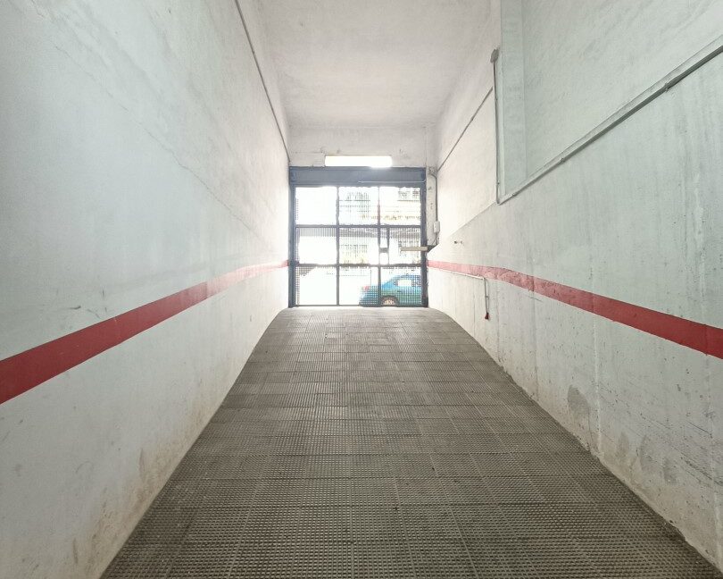 IMG20260331113535 (Large)