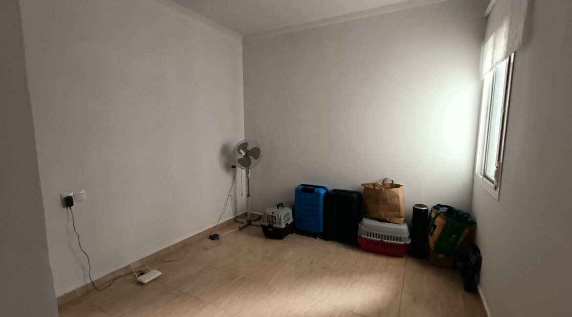 IMG20260331114631 (Large)