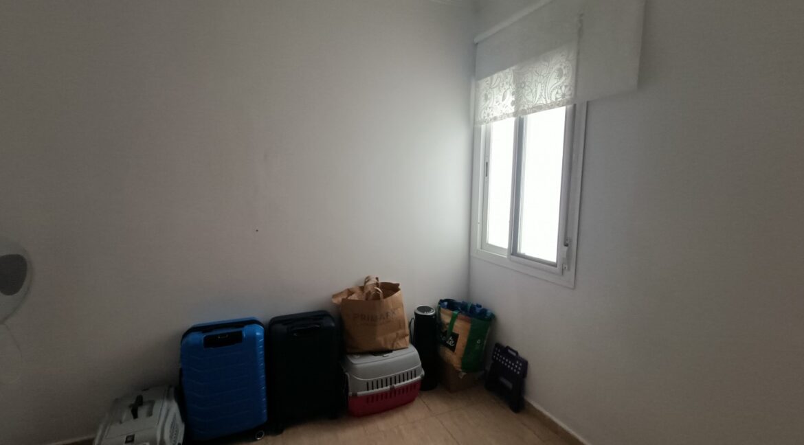 IMG20260331114648 (Large)