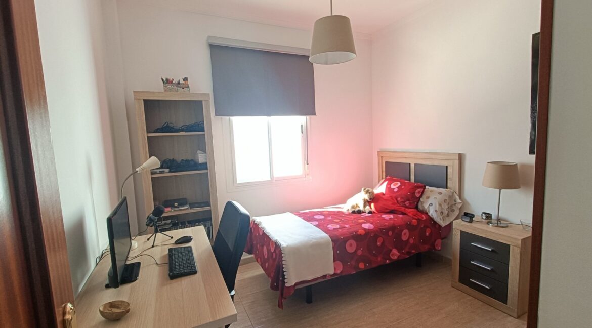 IMG20260331114701 (Large)