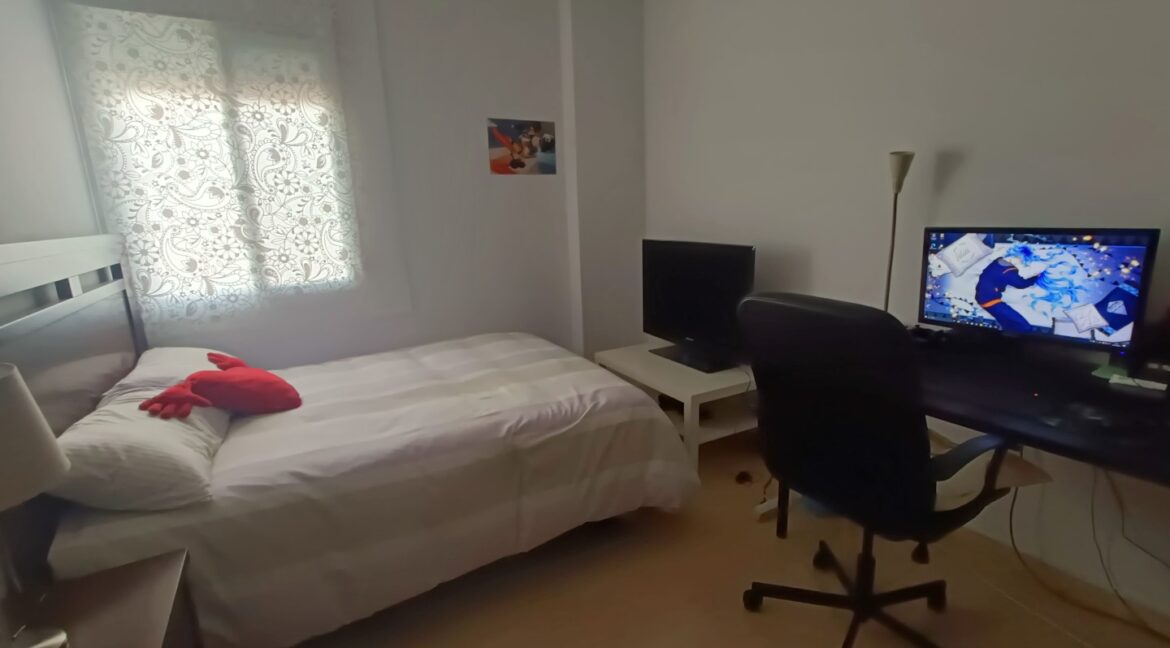 IMG20260331115325 (Large)